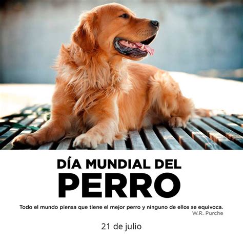 dia del perro en colombia